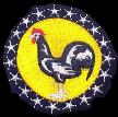 19th Fighter Squadron, 7th AF