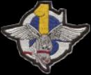 1st Air Commando Group - felt