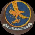 1st Troop Carrier Command - Leather