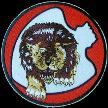37th Bomb Squadron, 17th Bomb Group,  Lions   Doolittle Raiders