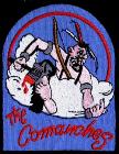 86th Fighter Squadron, 79th Fighter Group, 12AF The Comanches