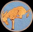 95th Bomb SQ., 17th Bomb Group, Kicking Mules  Doolittle Raiders embroidered